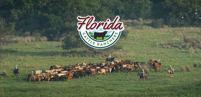 Florida Cattle Ranchers