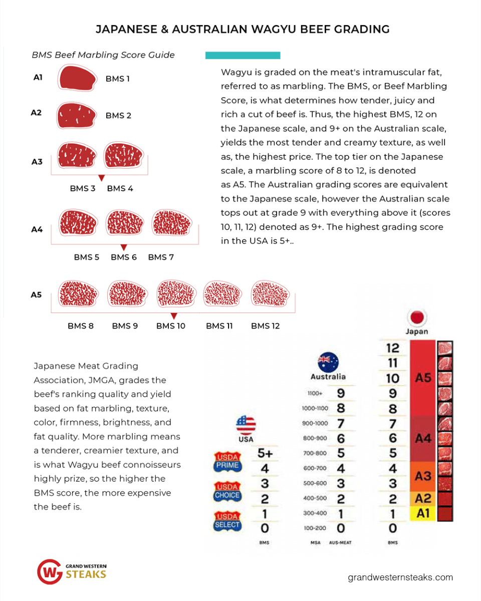 Japanese Wagyu and Australian Wagyu Grading Infographic